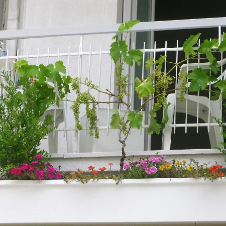 Sorriso Cattolica